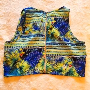 Charlotte Russe crop top